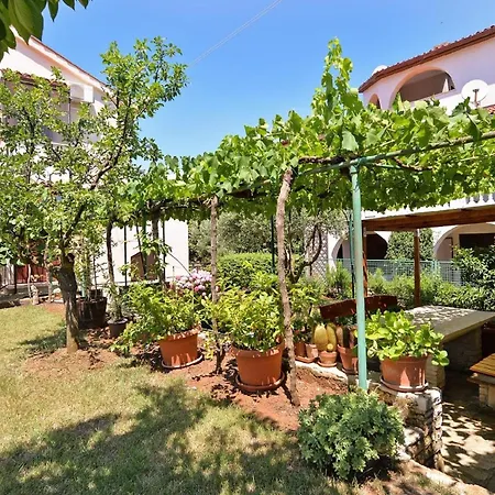 Fuer 3 Personen Ca 35 Qm In Stinjan, Istrien Istrische Riviera * Stinjan